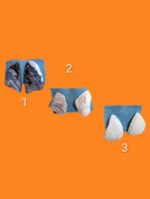 Load image into Gallery viewer, Seashells by the Seashore Studs: Small-batch