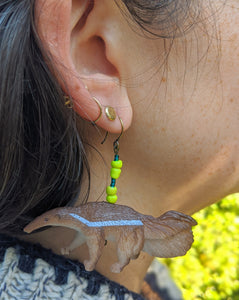 Amazing Anteater Earrings
