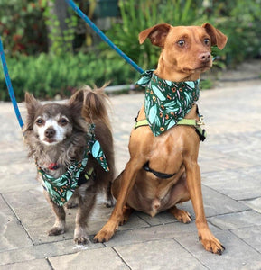 Furry Friend-Kerchief: Small Batch